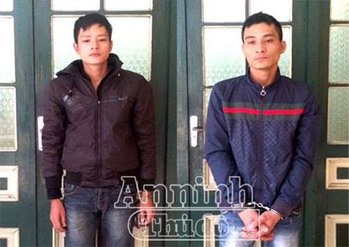 dich vu bao ve, bao ve co quan, bao ve nha may, bao ve ngan hang